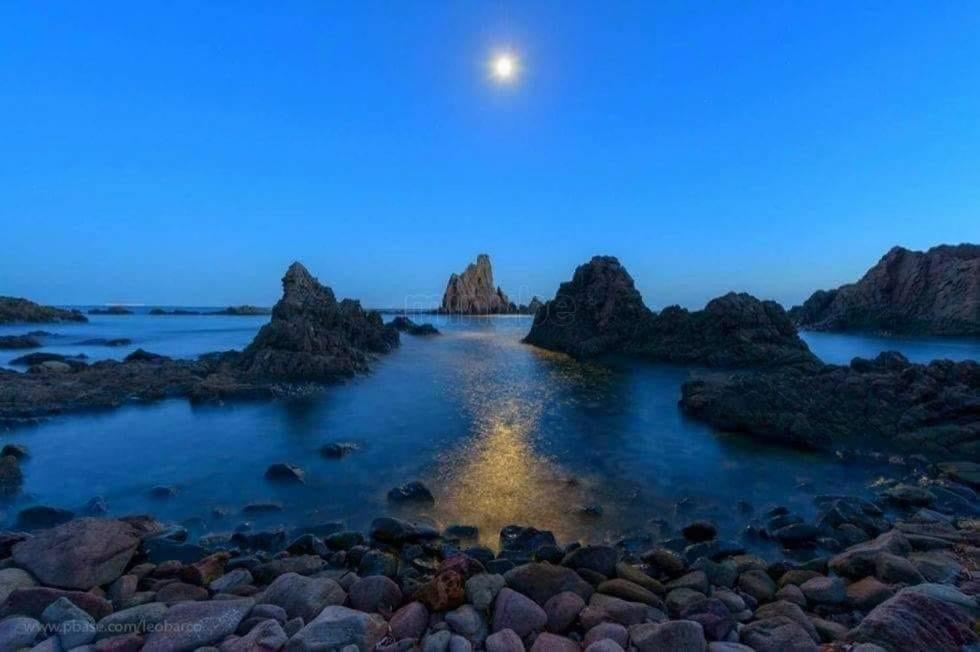 Cabo De Gata Oasis Retamar